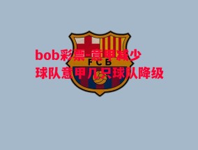 bob彩票-意甲减少球队意甲几只球队降级